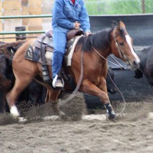 Meet your Posher, Karen